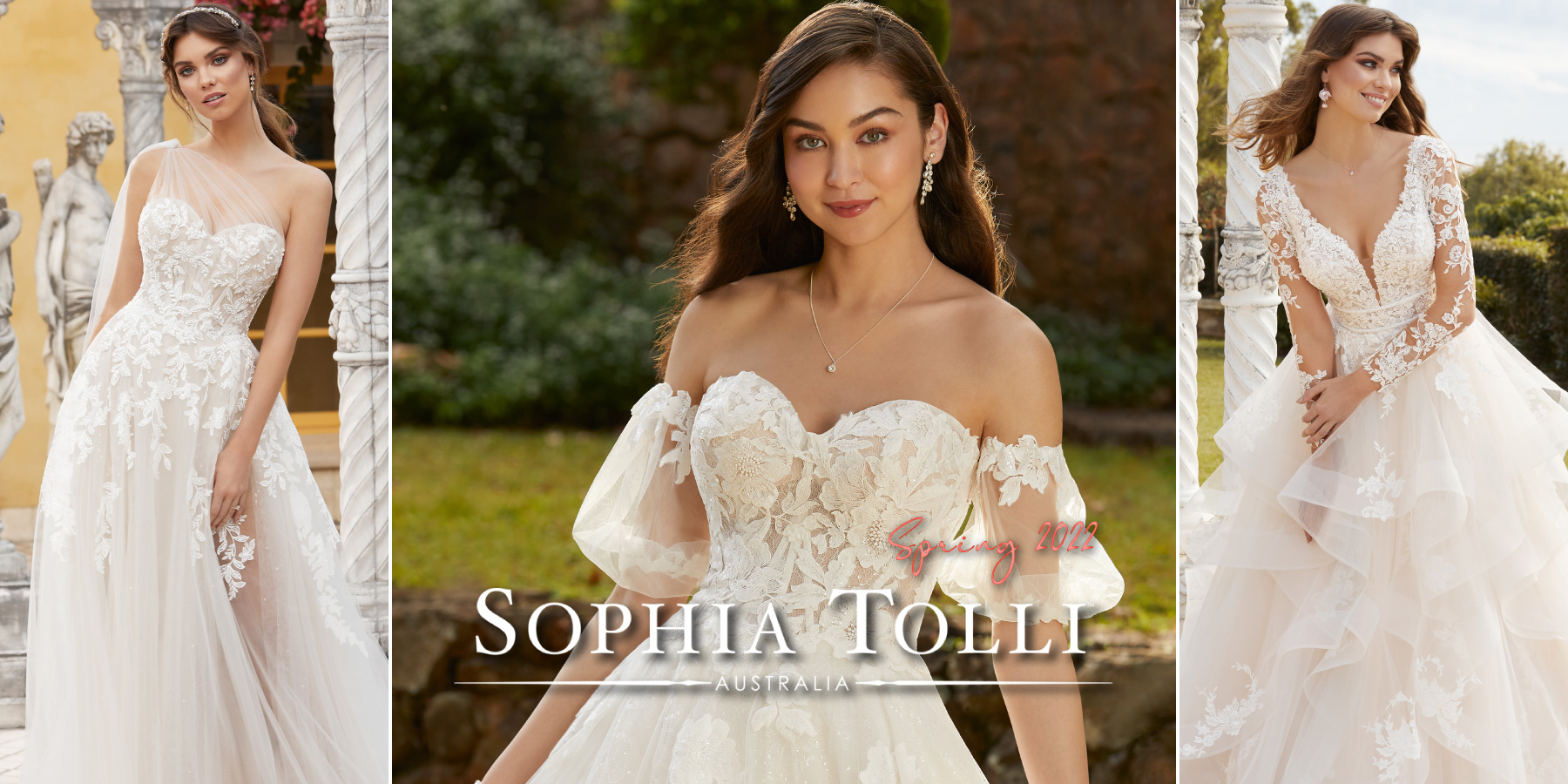 sophia tolli y22042