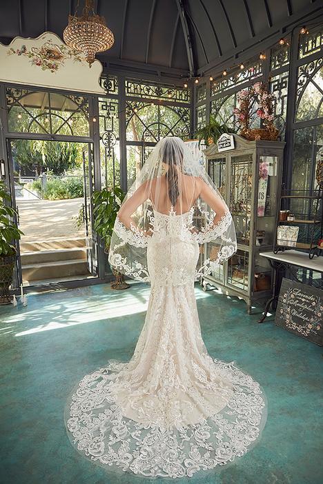 Cathedral Length Lace Veil by Casablanca Bridal, Style 2420V