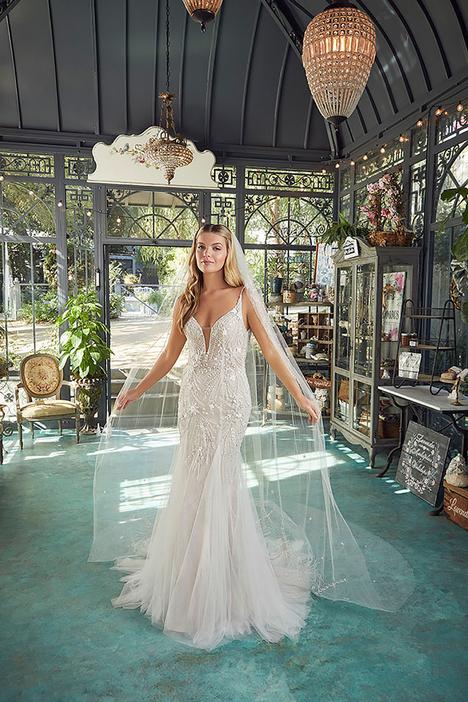 Casablanca Bridal Wedding Dresses in Canada