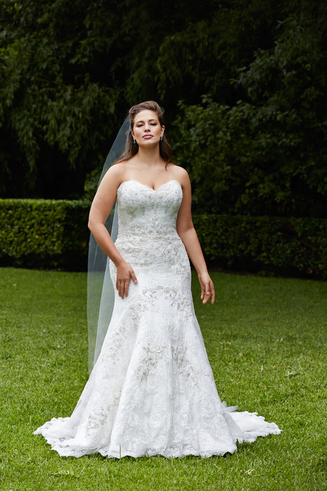 plus size wedding dresses in halifax ns