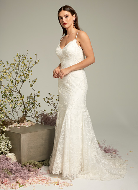 Ivy Aster Wedding Dresses