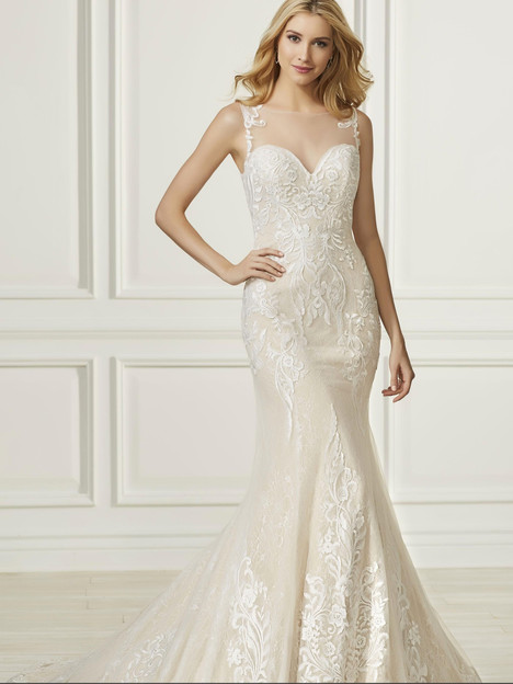 31099 by Adrianna Papell Retailers in the United States dressfinder